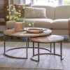 Aasha Carved Mango Wood & Iron Nesting Coffee Tables - Natural - (Set of 2)