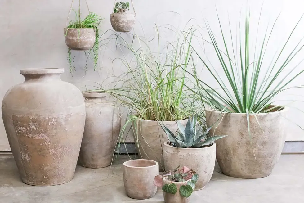 Affiti Clay Tapered Pot - Large