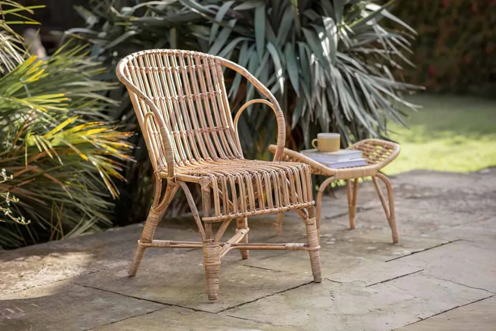 Ajaya Rattan Dining Chair