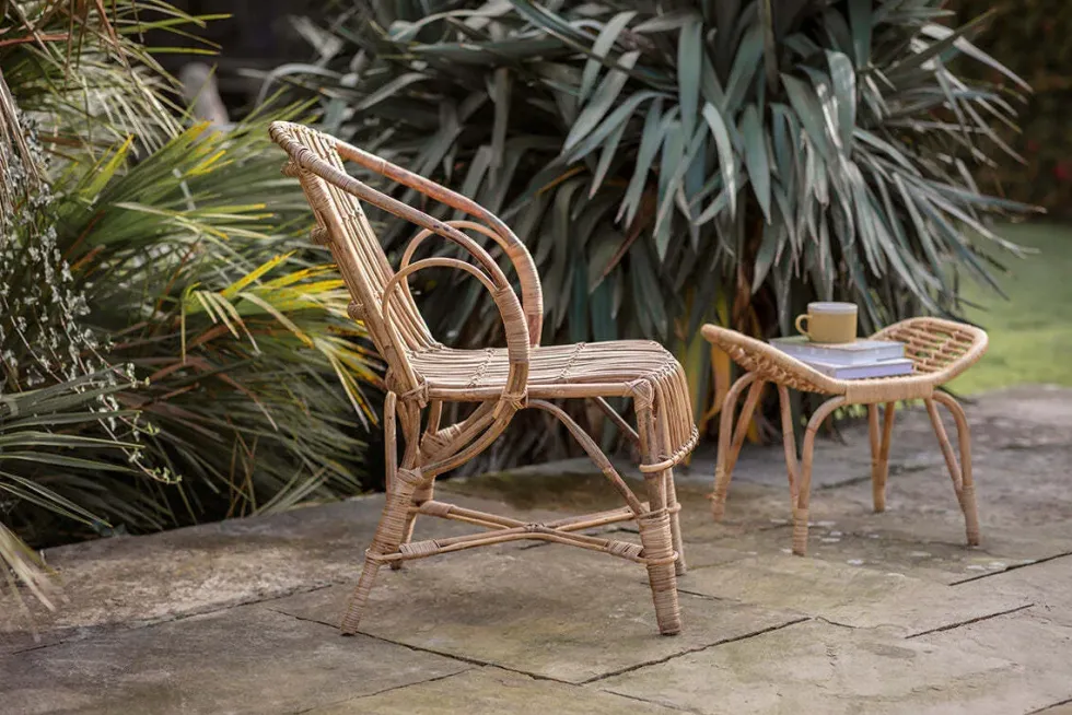 Ajaya Rattan Dining Chair