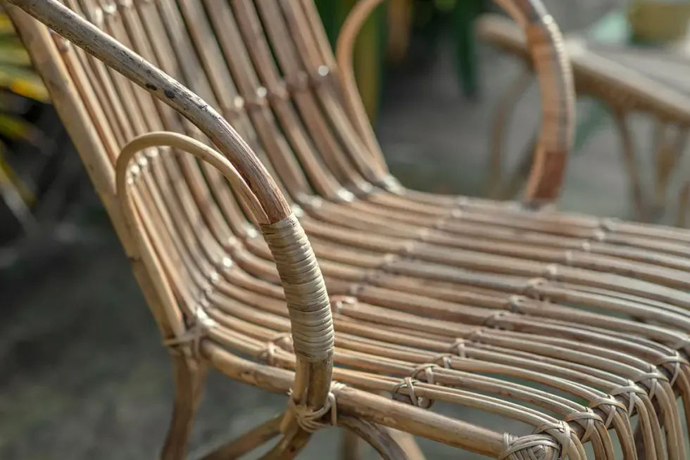 Ajaya Rattan Dining Chair