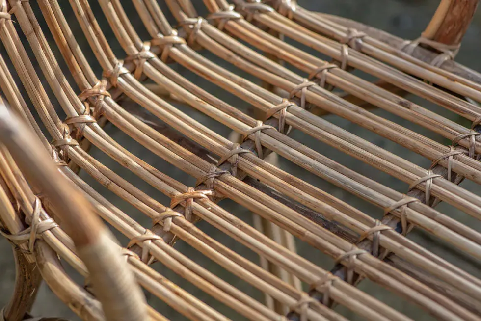 Ajaya Rattan Dining Chair