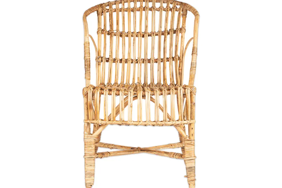 Ajaya Rattan Dining Chair