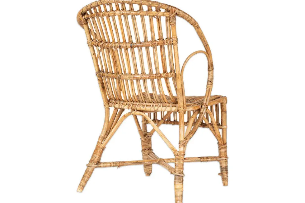 Ajaya Rattan Dining Chair