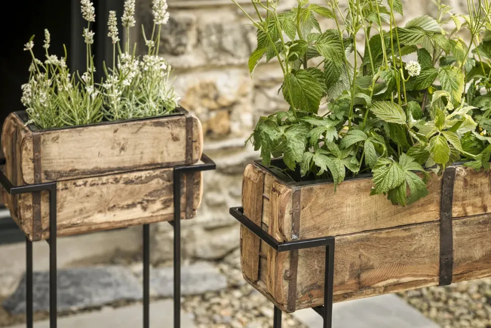 Amazzi Indoor Planter Stand - Natural & Black