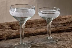 Anara Etched Champagne Glass - Clear (Set of 4)