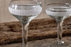 Anara Etched Champagne Glass - Clear (Set of 4)