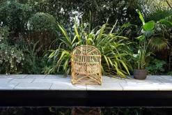 Arlia Rattan Lounger