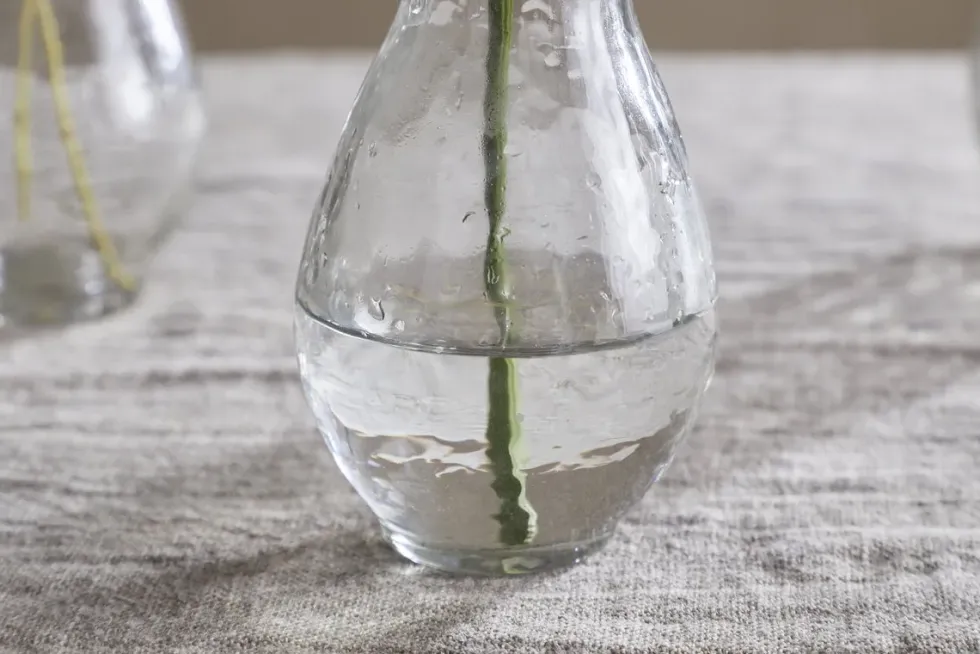 Bapti Bud Vases - Clear - (Set of 3)