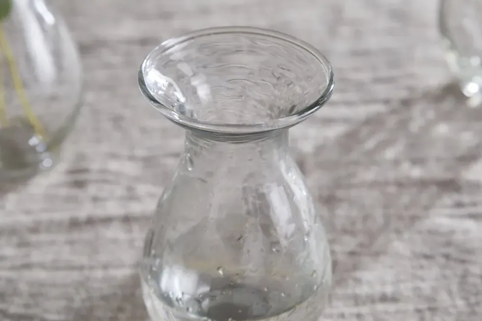 Bapti Bud Vases - Clear - (Set of 3)