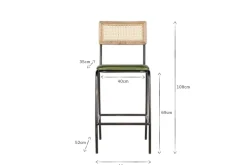 Iswa Leather & Cane Counter Chair - Rich Green