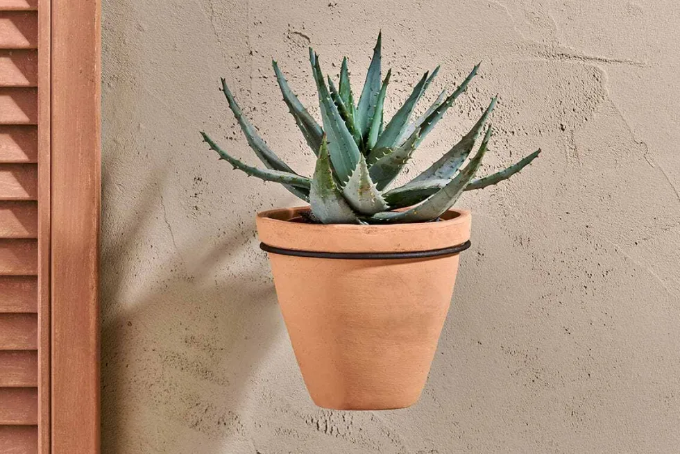 Jara Single Wall Hung Planter