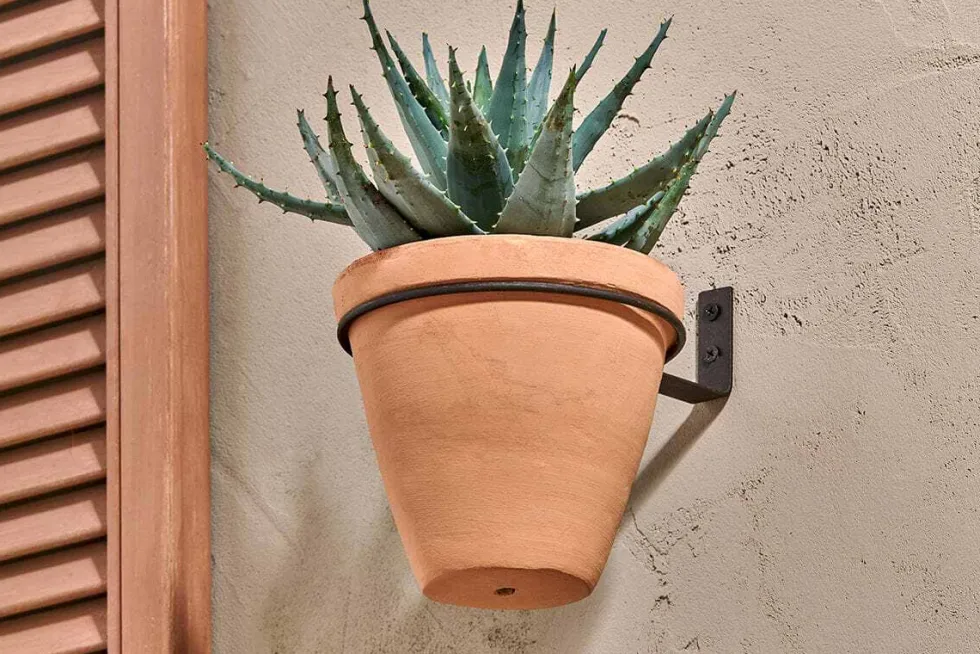 Jara Single Wall Hung Planter