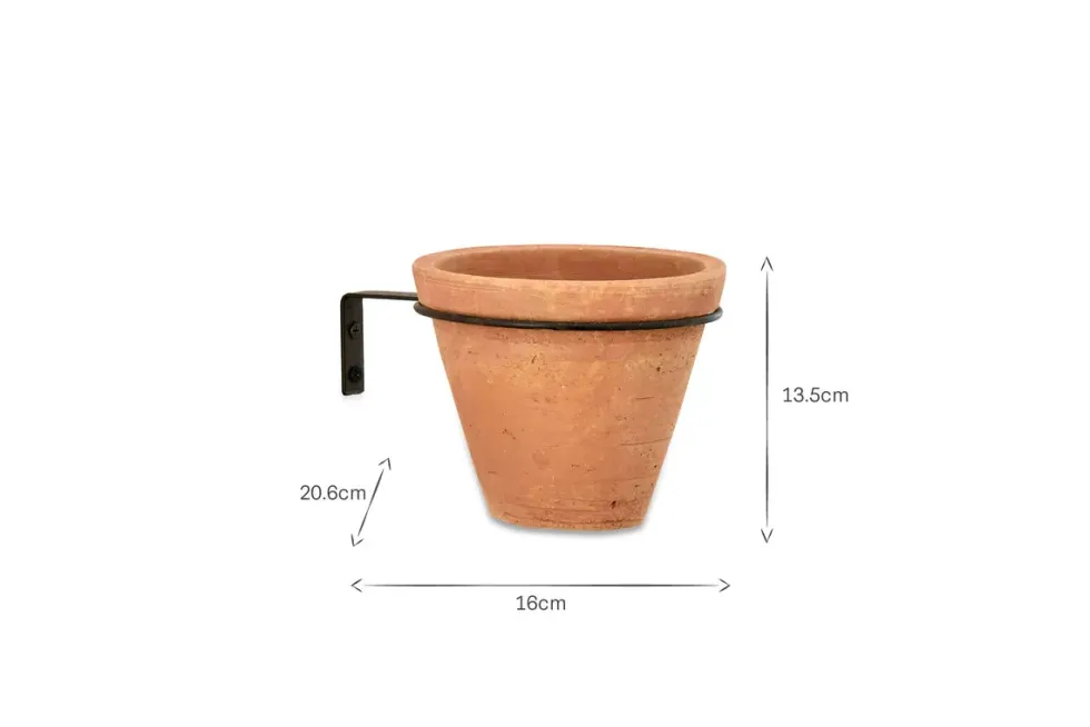 Jara Single Wall Hung Planter