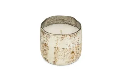 Juniper & Fir 1 Wick Scented Candle - Antique Gold - 1 Wick