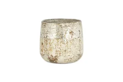 Juniper & Fir 1 Wick Scented Candle - Antique Gold - 1 Wick