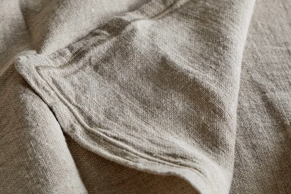 Junto Linen Napkin - Natural (Set of 4)