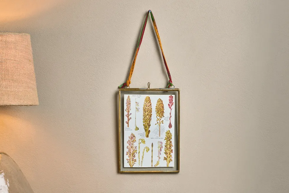 Kiko Brass Frame