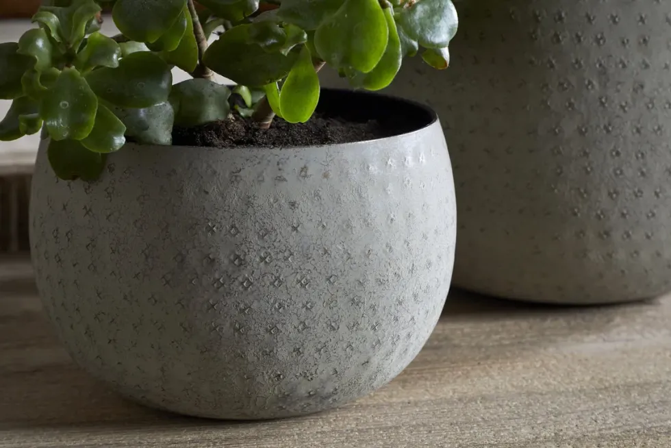Laoko Planter - Olive Grey