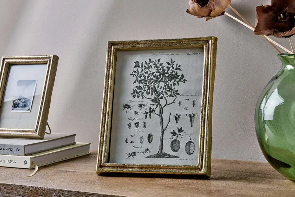 Pambani Photo Frame - Antique Brass