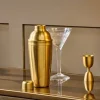 Rahuri Cocktail Shaker