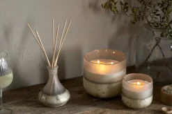 Sea Salt & Moss 1 Wick Scented Candle - Aged Smoke - 1 Wick