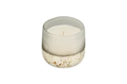 Sea Salt & Moss 1 Wick Scented Candle - Aged Smoke - 1 Wick