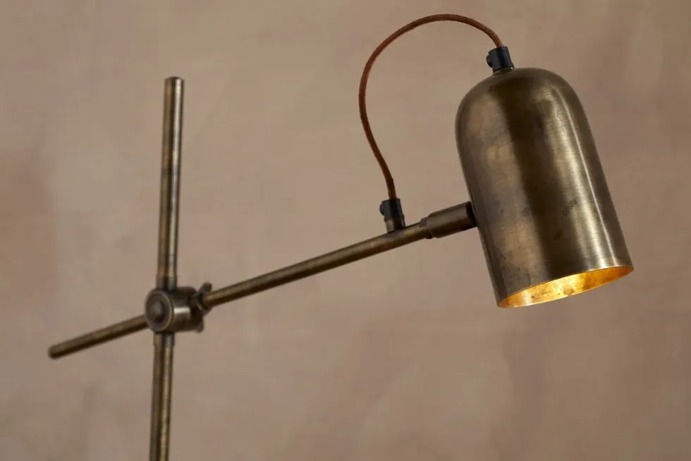 Thenkara Directional Floor Lamp - Antique Brass