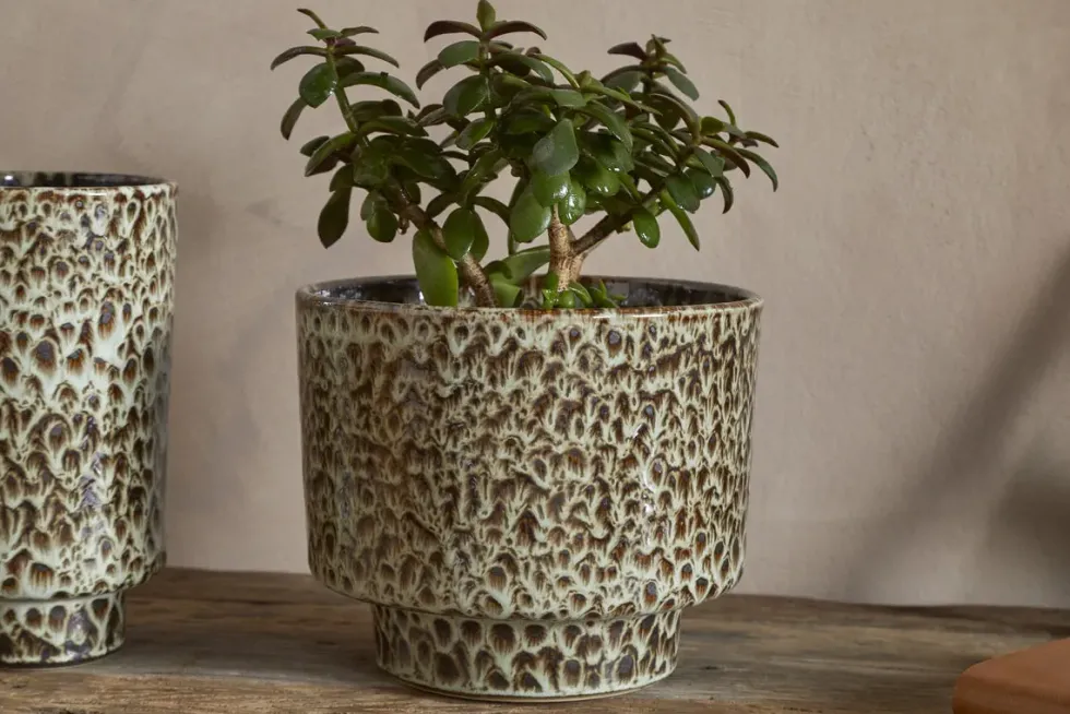 Uzuri Vase - Brown - Tall